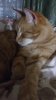 20180806_005714.jpg