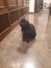 IMG-20181216-WA0016.jpg