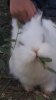 Screenshot_20210608-192048_Gallery.jpg