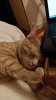 IMG_20220108_213144.jpg