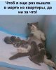 Б.jpg