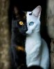 IMG_3760.jpeg