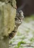 IMG_3759.jpeg