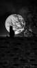 IMG_3768.jpeg