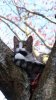 IMG_3766.jpeg