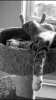 IMG_3765.jpeg