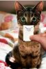 IMG_3762.jpeg