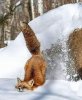 IMG_20231227_073531.jpg