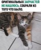 5559A46C-54DE-46C4-8FCE-6538C0BC1C3D.jpeg