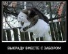 A637F816-4B23-461C-A563-0921729BF545.jpeg