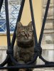 IMG_0631.jpeg