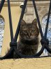 IMG_0633.jpeg