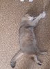20240811_131726.jpg