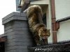 IMG_5608.jpeg