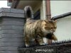 IMG_5607.jpeg
