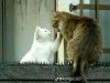 IMG_5610.jpeg