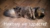 IMG_20220310_092927.jpg