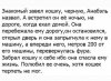 E7B9807F-C0E4-441B-963E-393EF0CA3625.jpeg