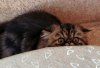 IMG_20241203_123540_172.jpg