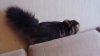 IMG_20250112_201002_333.jpg
