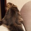 IMG_20250112_201035_240.jpg