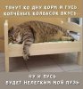 IMG_1796.jpeg