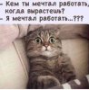 20250417_164958.jpg