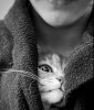 IMG_2155.jpeg