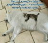 IMG_2069.jpeg