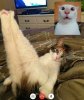 IMG_4455.jpeg