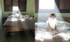 IMG_1997.jpeg