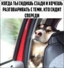 IMG_1993.jpeg