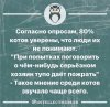 IMG_2246.jpeg
