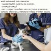 IMG_2383.jpeg