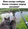 EF0090A6-4D08-4668-8EDE-057C3C430F2A.jpeg