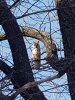 IMG-20180502-WA0005.jpg