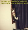 kotomatritsa_L2.jpg