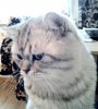 photofacefun_com_1533450962.jpg