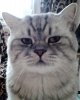 photofacefun_com_1533451181.jpg
