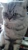 photofacefun_com_1533451371.jpg