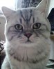 photofacefun_com_1533451435.jpg