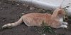 20180921_191330_resized.jpg