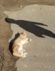 20180928_164637_resized.jpg