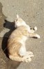 20180928_164709_resized.jpg