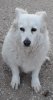 20181011_094149_resized.jpg