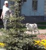 IMG_20190911_151103_354.jpg