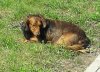 IMG_20190911_151046_367.jpg