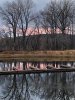 IMG-20201107-WA0006.jpg