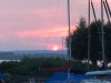 IMG-20210416-WA0000.jpg