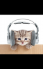 Screenshot_20220115-191915.png